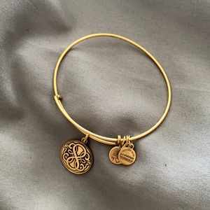 Alex and Ani Infinity Charm Bangle
